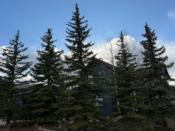 52 Rachel Ln, Breckenridge, CO 80424