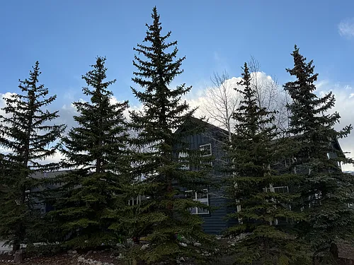 52 Rachel Ln Photo 1