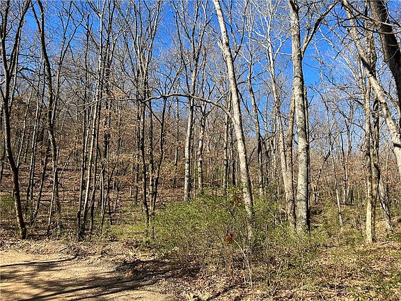 2nd image of Finger Wc 411 Road/