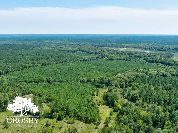Jabez Poyner Rd, Carlton, GA 30627