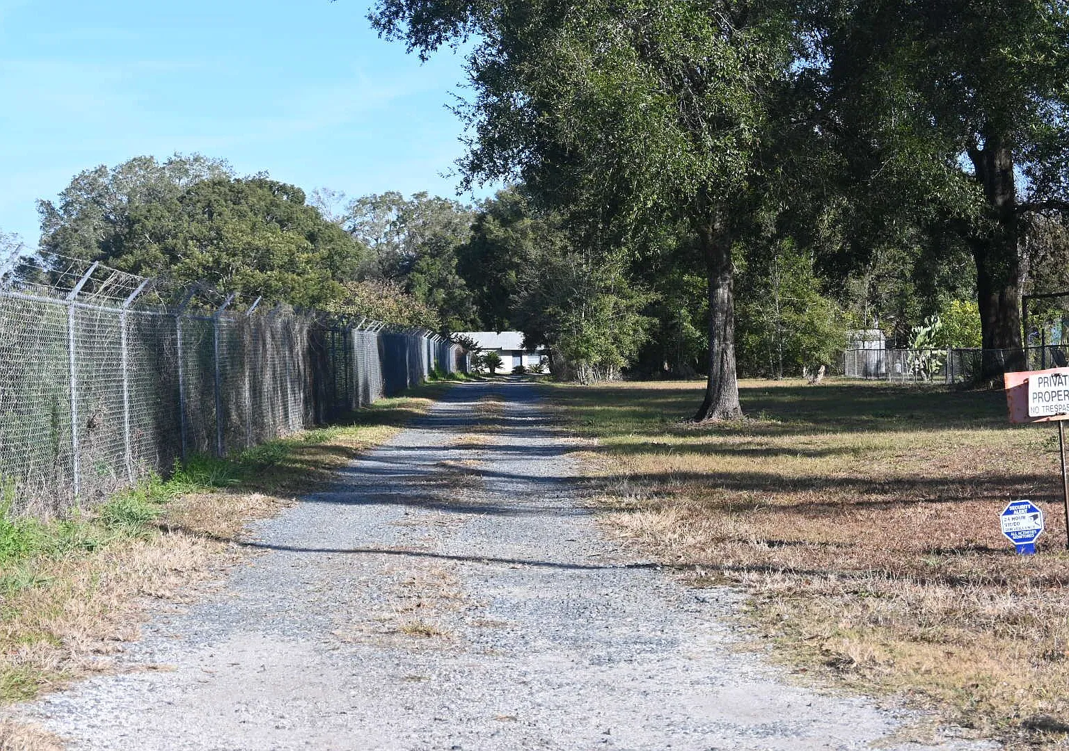 Oak Street — Photo 4