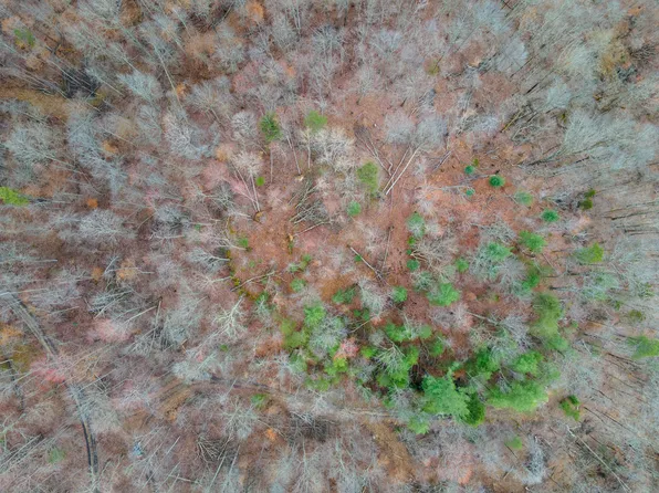 1737D High Rock Rd, Stanton, KY 40380