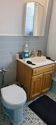 Rented by Astoria Park Realty Group Inc | media 46