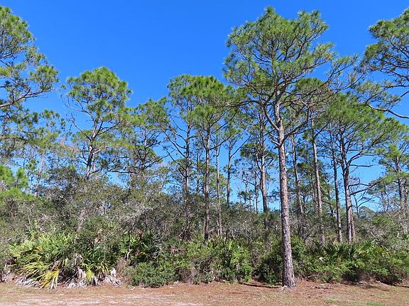3rd image of 1204 Sea Dune Dr