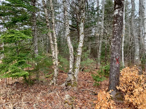 Map11Lot31 East River Road, Pembroke, ME 04666