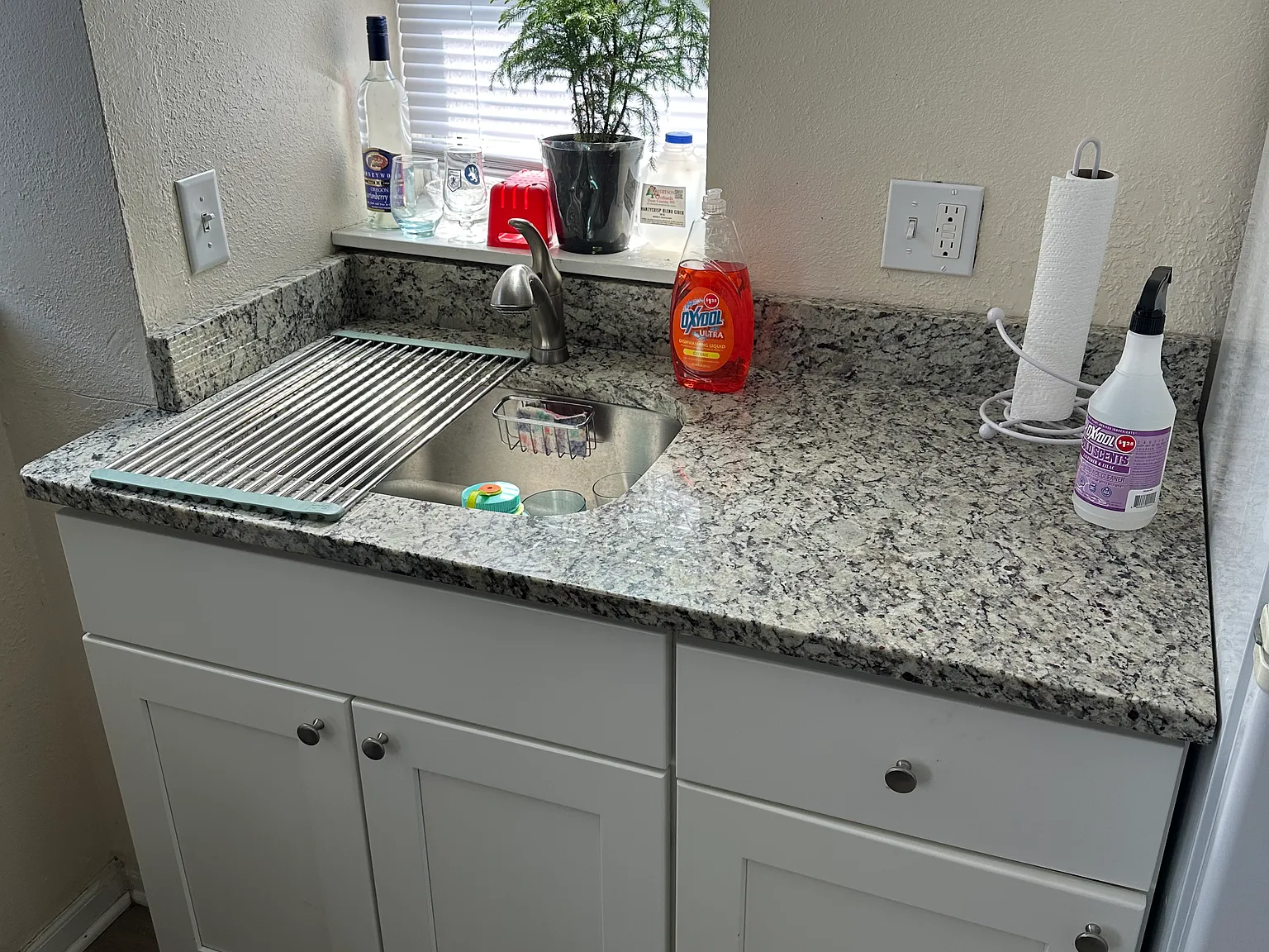 1 bed, 565 sqft, $1,195 — Photo 3