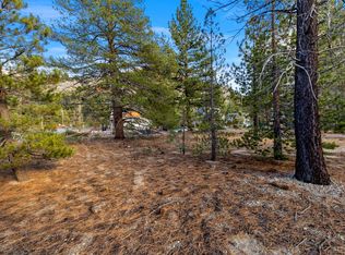 972 Shakori Dr, South Lake Tahoe, CA 96150