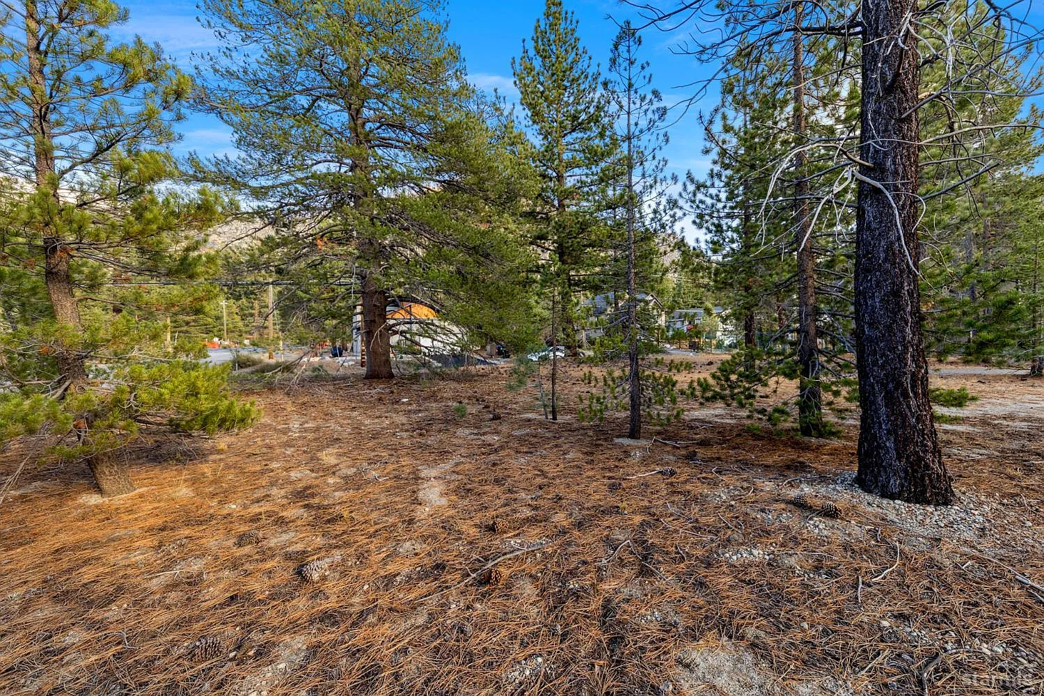 972 Shakori Dr photo 1