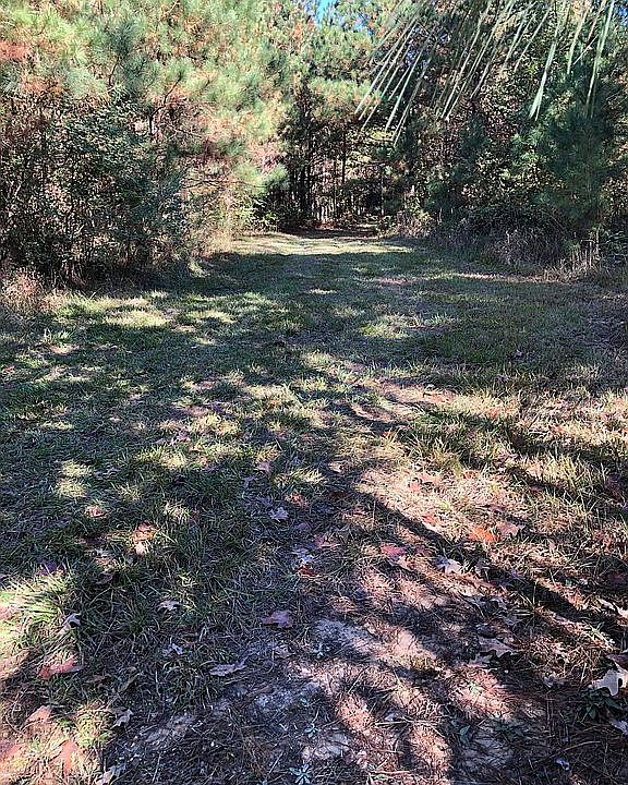 2nd image of 222 Ashley Road 386