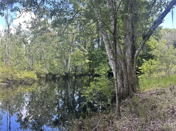 8020 S Ute Point, Floral City, FL 34436