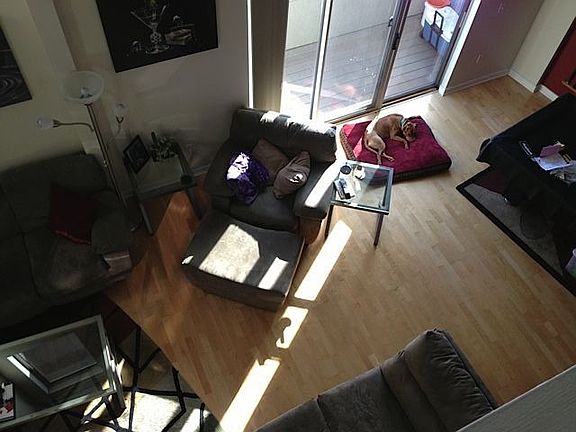 loft view 2