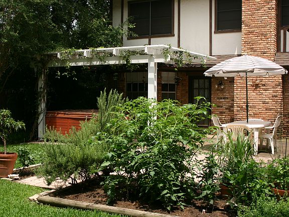 Back view