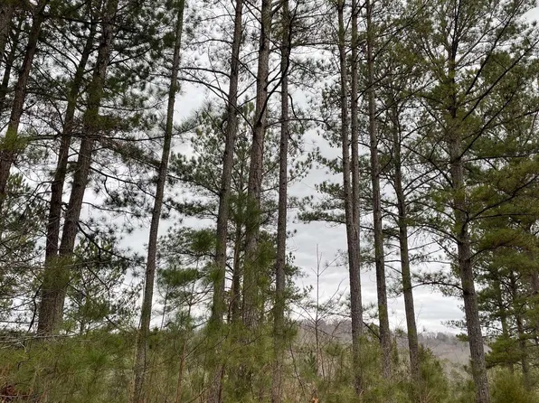 45 Pinehurst Rd, Blairsville, GA 30512