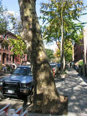 Rented by Chris Stewart, LREB | media 21