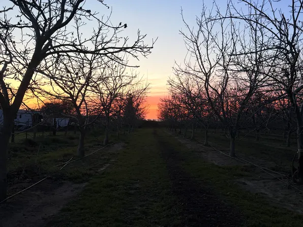 (undisclosed Address), Delhi, CA 95315