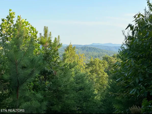 351 White Plains Rd, Vonore, TN 37885