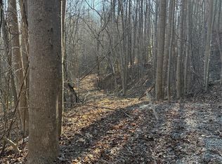 Brindlewood Dr #38V, Nebo, NC 28761