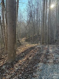 Brindlewood Dr #38V, Nebo, NC, 28761