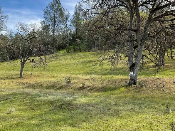15915 Rancho Tehama Rd, Corning, CA 96021