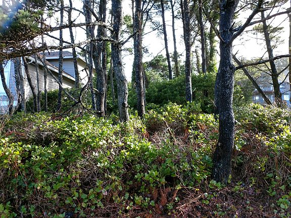 5th image of 4658 SW Beach Ave