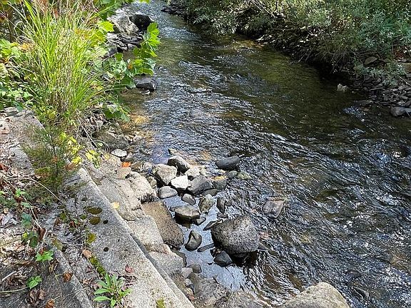 30th image of this home