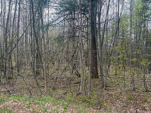 3rd image of 0 Callahan Rd