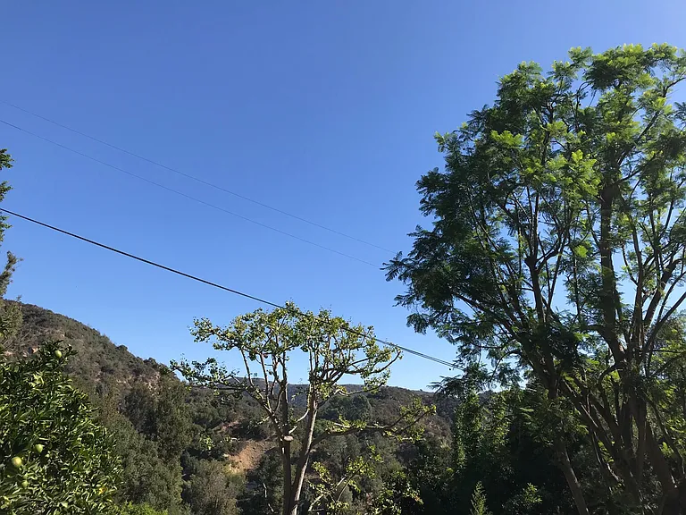 10505 Scenario Ln — Photo 17