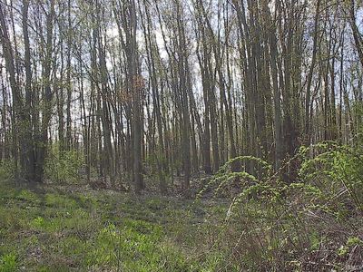 0 Hickory St, Butler, IN, 46721