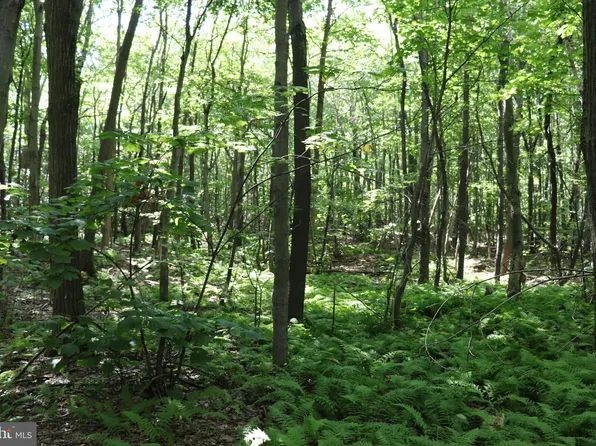 LOT 186 Smokey Run Rd, Claysburg, PA 16625