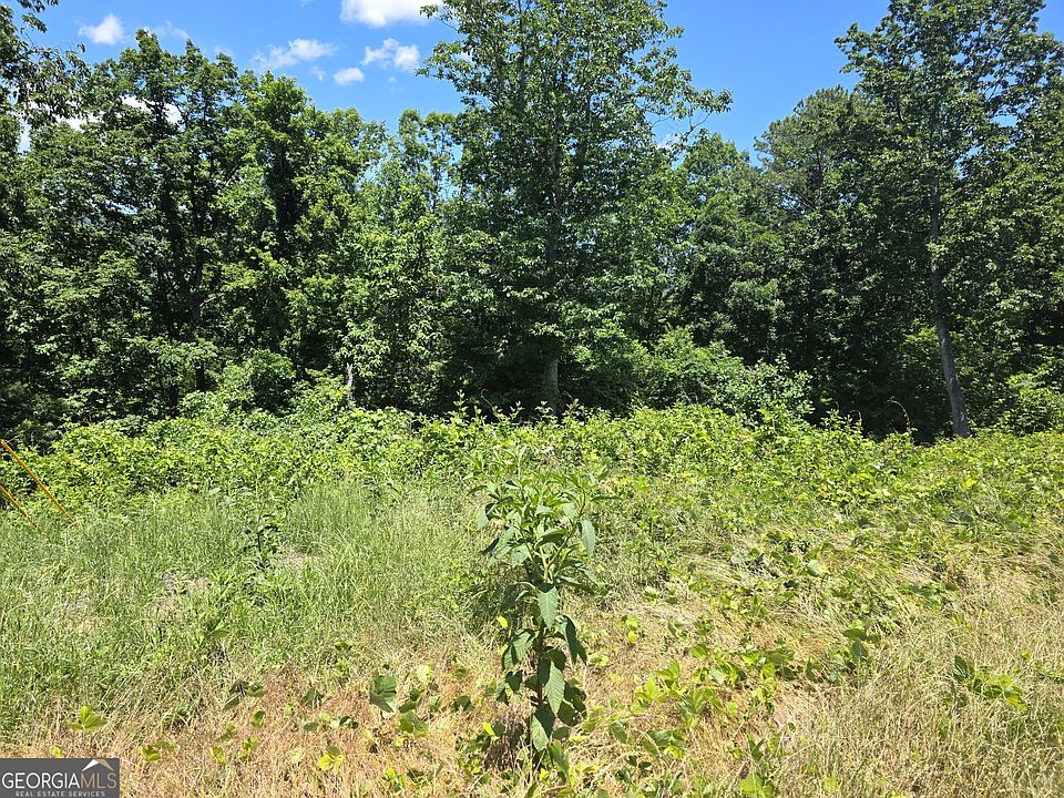 1st image of 0 Cowart Mountain Rd #2
