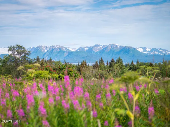 L8-B3 Glenn Rd, Homer, AK 99603
