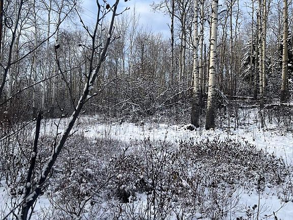2nd image of Nhn Amayun Ln