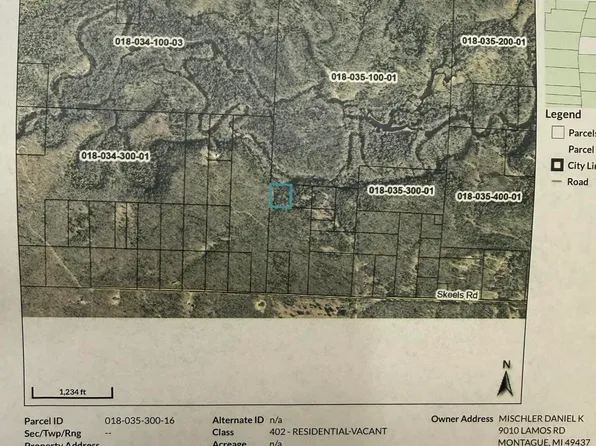 0 Skeels Rd, Holton, MI 49425