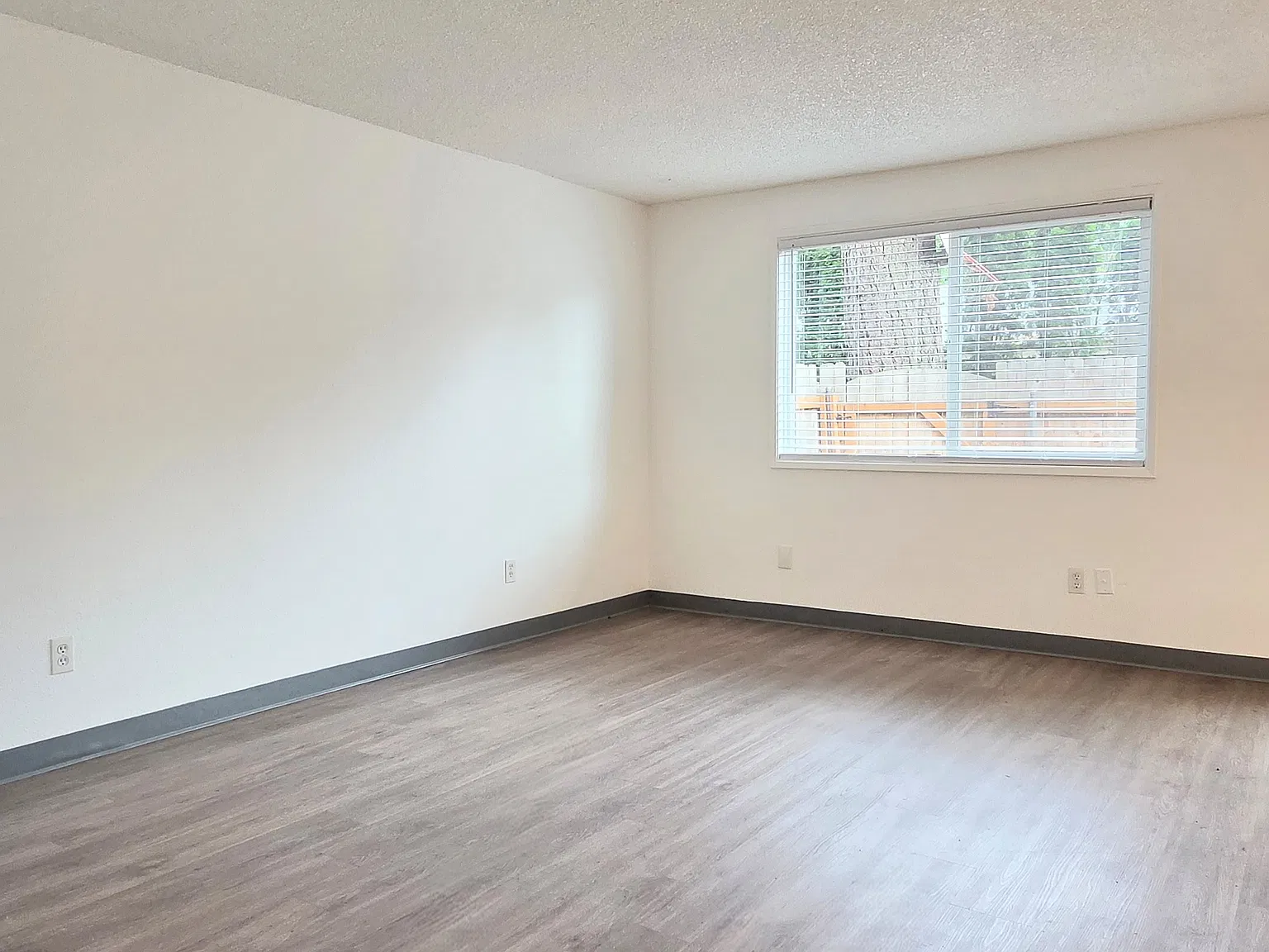 1 bed, 644 sqft, $1,300 — Photo 3