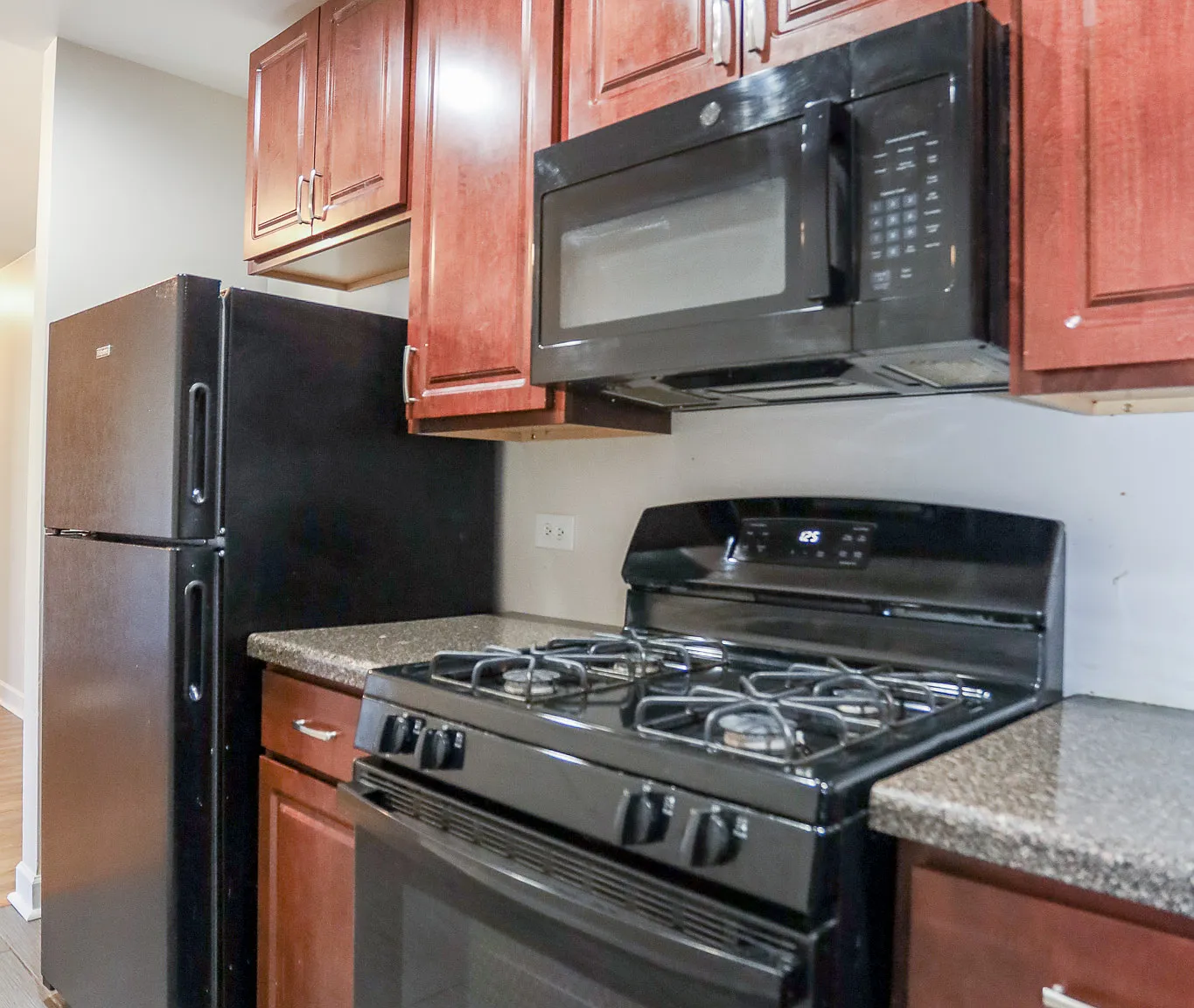 1 bed, $1,650 — Photo 4
