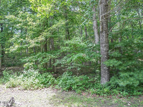 2nd image of S Peterson Rd