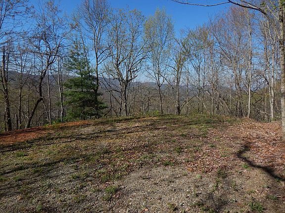 5th image of 8-2 Treetop Dr #10