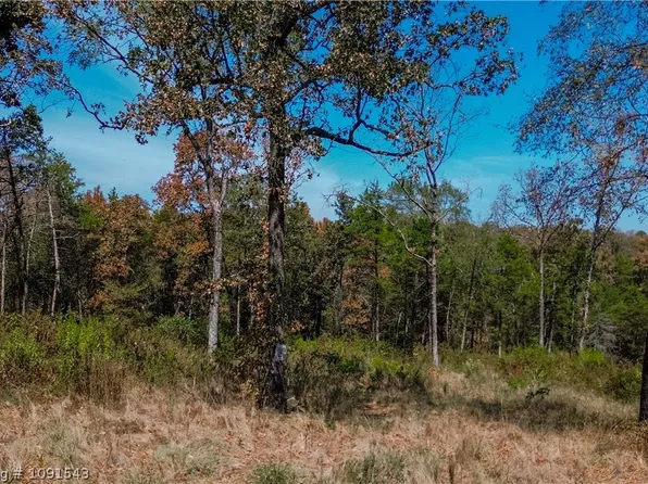 Tbd Shelby Ln, Cecil, AR 72930