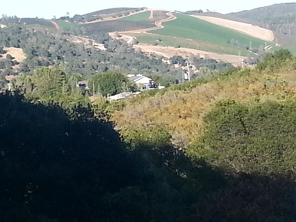 2nd image of 12170 Cerrito Dr