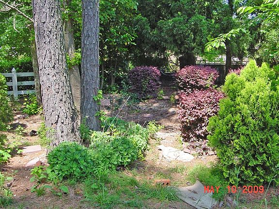 Koi Pond with custom gardens