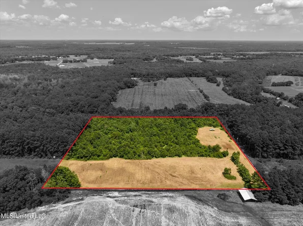 25031 Wallace Creek Rd, Lucedale, MS 39452