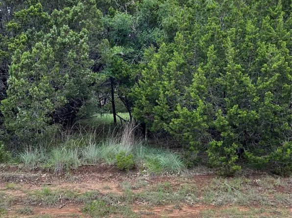 39030 Cedar Trl, Whitney, TX 76692