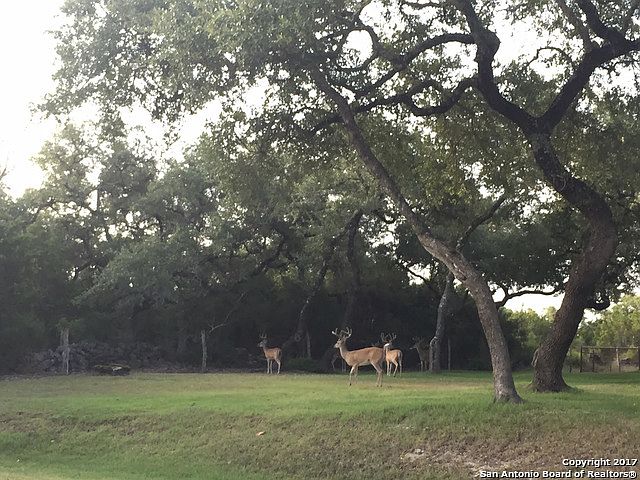 1st image of 581 Lost Creek Dr