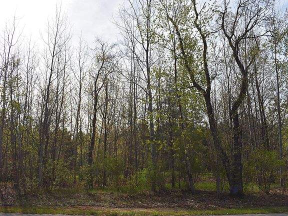 2nd image of 738 White Pine Dr
