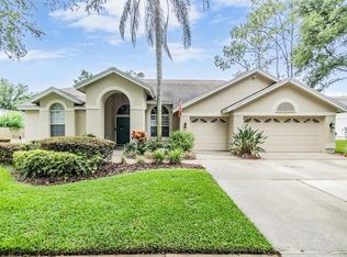 3906 Blue Maidencane Pl, Valrico, FL 33596