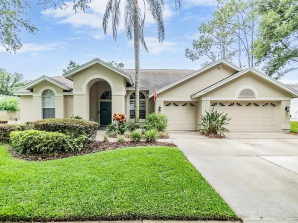 3906 Blue Maidencane Pl, Valrico, FL 33596