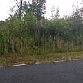 3rd image of Ginger Ln Lot 23