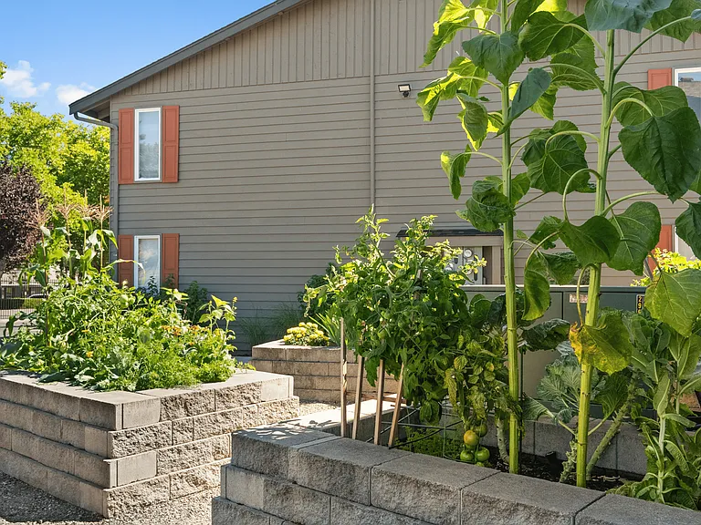Enjoy community garden spaces with vibrant greenery and fresh vegetables.