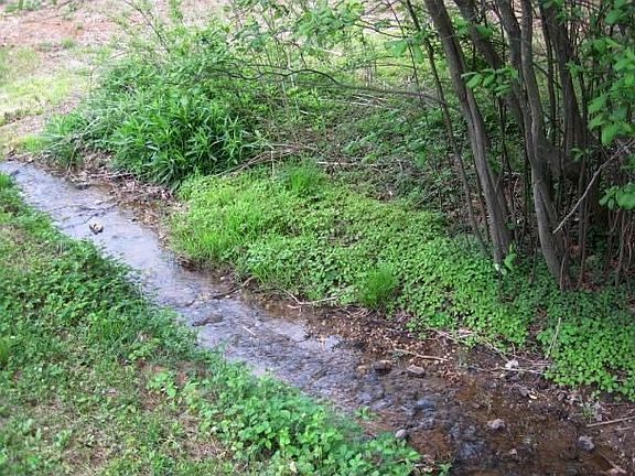 3rd image of 350 Mills Rd