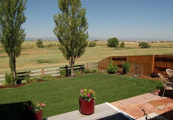 Beautiful Backyard 